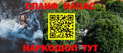 индика Нарткала