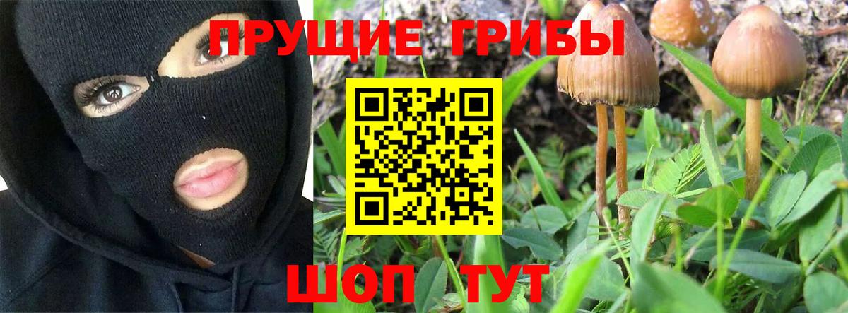 Галлюциногенные грибы мухоморы Тобольск